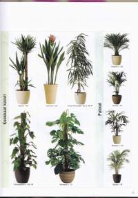 Helpot huonekasvit, 2007. 1.p.Käytännöllisten ohjeiden ja neuvojen avulla onnistut kotisi kasvien valinnassa, kasvattamisessa, hoitamisessa ja sijoittelussa.