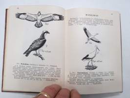 Käytännön lintuopas -practical bird guide