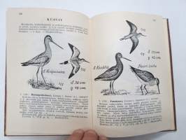 Käytännön lintuopas -practical bird guide