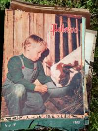 Pellervo  1960 nr 18. farmari ja talonpoika muuttuvassa maailmassa, jokatalon metsätaloussuunnitelma, kuivurikoktaileja, pehmeitä paketteja