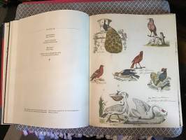 Christine`s picture book- Hans Christian Andersen kuvakirja
