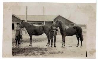Valokuva, maalaistalon pihapiirissä emäntä , isäntä ja  kaksi hevosta. Oletan  kuvan olevan 1940-luvulta.