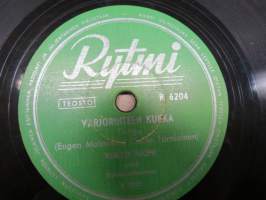 Rytmi R 6204 Veikko Tuomi sekä Rytmi-orkesteri Varjorinteen Kukka / Orvon Kyynel -savikiekkoäänilevy / 78 rpm record