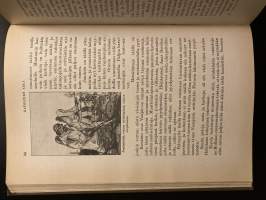 Hollolan pitäjän historia I-II - Muinaisuuden hämärästä kunnallisen elämän alkuun 1860-luvulle