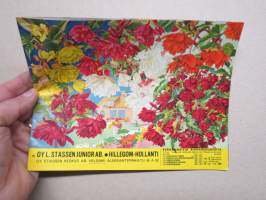 L. Stassen Junior Oy Hillegom Kevät 1959 kukkasipulit, perennat, ruusut, koristepensaat -kuvasto / plants &amp; bulbs catalog
