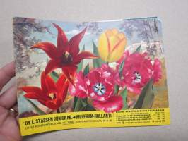 L. Stassen Junior Oy Hillegom Syksy 1958 kukkasipulit, perennat, ruusut, koristepensaat -kuvasto / plants &amp; bulbs catalog