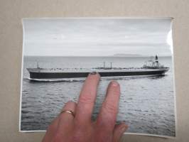 &quot;Dirch Maersk&quot; - A.P. Möller -valokuva / photograph