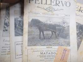 Pellervo - 1920-luvun loppupuolen lehtiä erä