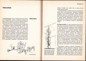 Harrastajan kasvihuone, 1980. Tietoja kasvihuoneen sijoituksesta, rakentamisesta, sisustamisesta, valaistuksesta, ilmastoinnista jne.
