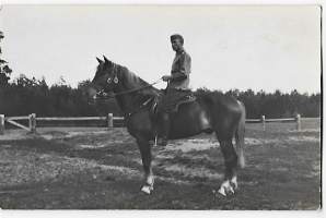 Kersantti ratsailla 1929  -valokuva sotilasvalokuva 9x13 cm