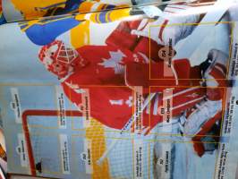Hockey 95 world championships tarra-albumi