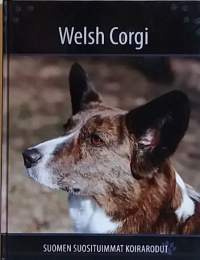 Welsh Corgi - Suomen suosituimmat koirarodut. (Lemmikit)
