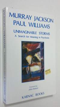 Unimaginable Storms : a search for meaning in psychosis
