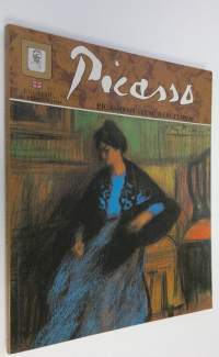 Picasso : Picasso museum, Barcelona - photographic report, complemented by a biography of the painter