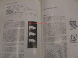 Vehkasämppy (Vehkalahden yläaste 9.lk 1988-89)