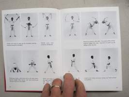 Introduction to karate