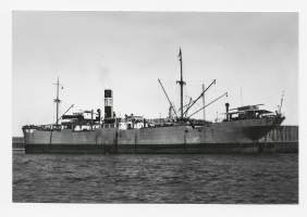 m/s Arica 2005 Alus on rakennettu 1954 Suomen Etelä-Amerikan Linjalle ja ollut FÅA:n omistuksessa 1966-1971.. - laivavalokuva  valokuva 10x15 cm