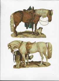Hevonen ja koira   -  kiiltokuva  2 kpl erä 12x16 cm