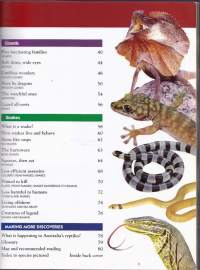 Amazing Facts about Australian Frogs and Reptiles. Vol. 4