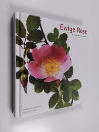 Ewige rose : Ein währender kalendar