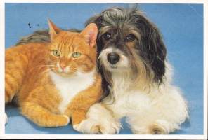 Postikortti koira ja kissa (kulkenut, postimerkki). (Postikortti /koira/kissa)