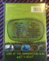 Korn - Live At Hammerstein DVD - musiikki