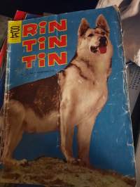 Rin Tin Tin No 1 1964