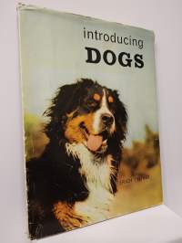 Introducing dogs