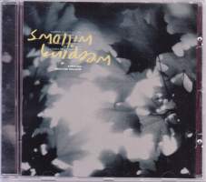 CD - Weeping Willows - Presence, 2004. (Indie Rock, Pop Rock, Soft Rock). Virgin – 7243 5 98834 2 7