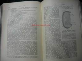 Lehrbuch der Entwicklungsgeschichte des Menschen und der Wirbelthiere (1898)