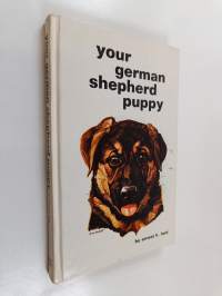 Your german shepherd puppy