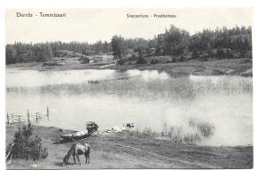 Tammisaari Ekenäs Snappertuna  Prestholmen - postikortti paikkakuntapostikortti kulkematon