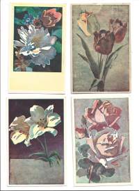 Sota-ajan kulkematon kukkakortti postikortti 4 eril