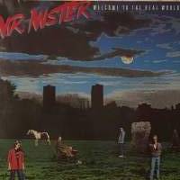 MR. MISTER:   &quot; WELKOME TO THE REAL WORLD  &quot;    EUROPE  V. 1985  PAINOS