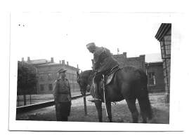 Rakuunakomentaja ratsailla - sotilasvalokuva, valokuva  6x9 cm