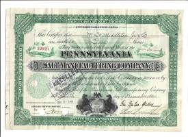 Pennsylvania SAltmanfacturing Company     USA 1924 - osakekirja