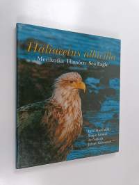 Haliaeetus albicilla : merikotka = havsörn = sea eagle