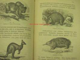 Piirteitä eläinmaantieteestä Tri E.L. Trouessartin mukaan O.M. Reuter (Kansanvalistusseuran luonnontieteellinen kirjasto, 6. osa) 1903