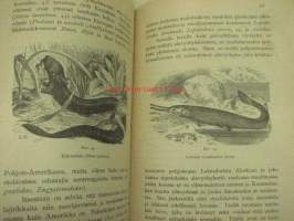 Piirteitä eläinmaantieteestä Tri E.L. Trouessartin mukaan O.M. Reuter (Kansanvalistusseuran luonnontieteellinen kirjasto, 6. osa) 1903