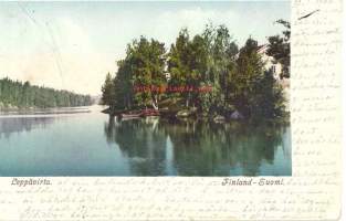 Leppävirta - paikkakuntakortti, kulkenut  1904  merkki pois