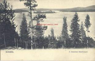 Nurmes - paikkakuntakortti- ,  1900-l alku kulkematon