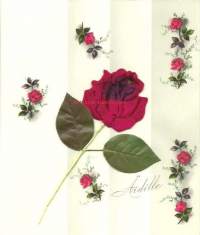 Kolmiulotteinen kukkakortti ruusu-koriste, taiteilijakortti  1963