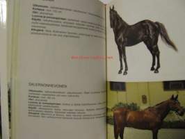 Maailman hevoset ja ponit
