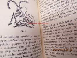 Termiterna och deras samhällen - Insekter som driva åkerbruk, boskapsskötsel och storindustri, som hålla slavar och ordna krigståg - Tidens intressen nr 2