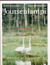 Joutsenlampi, 1985. 1. painos. Kertomus pesästä ja poikaista