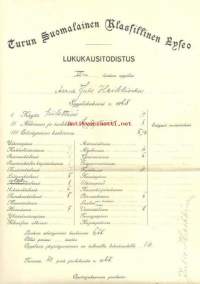 Lukukausitodistus 1928 - Turun Suomalainen Lyseo - koulutodistus