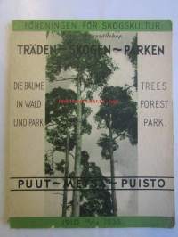 Puut - Metsät - Puistot, Träden - Skogen - Parken, Die Bäume in Wald und Park, Trees - Forest - Park