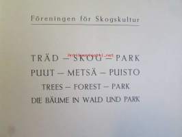 Puut - Metsät - Puistot, Träden - Skogen - Parken, Die Bäume in Wald und Park, Trees - Forest - Park