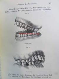 Taschenbuch der Zahnheilkunde für praktische Ärtze