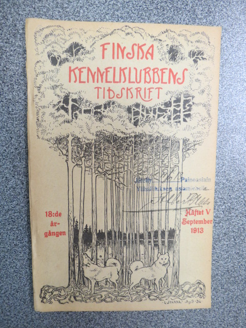 Blogin kuvituskuva